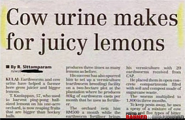 Amusing Newspaper Headlines Uk